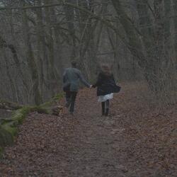 Ніч Урочиста