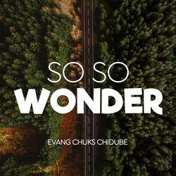 So so Wonder