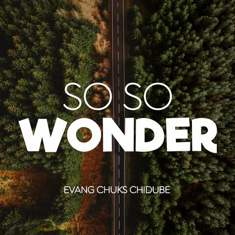 So so Wonder