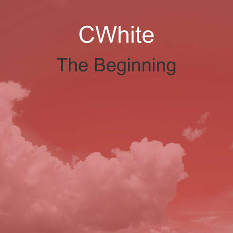 The Beginning