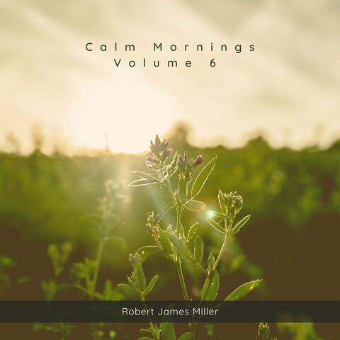 Calm Mornings Volume 6