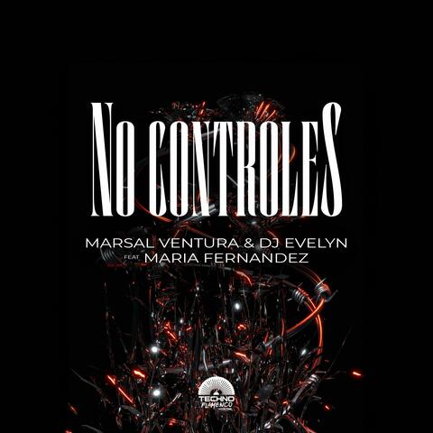 No Controles
