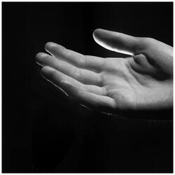 Hold My Hand