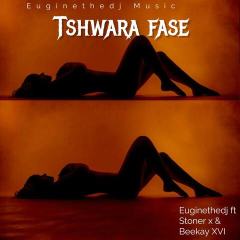 Tshwara Fase
