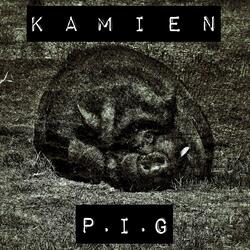 Kamien P.I.G