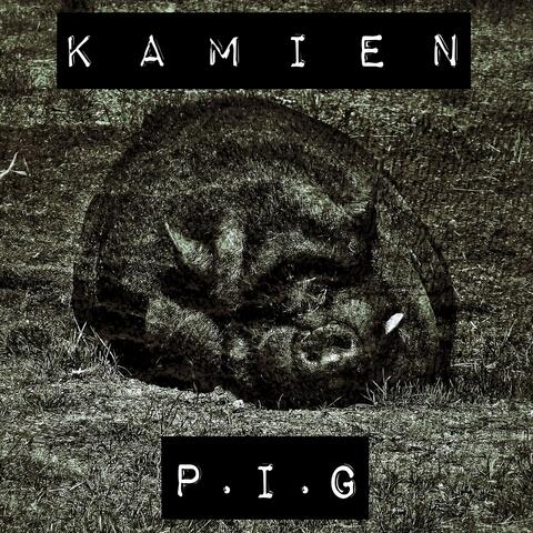 Kamien P.I.G