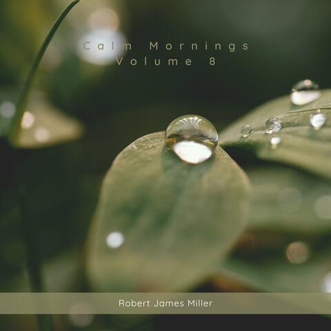 Calm Mornings Volume 8