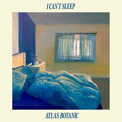I Can't Sleep
