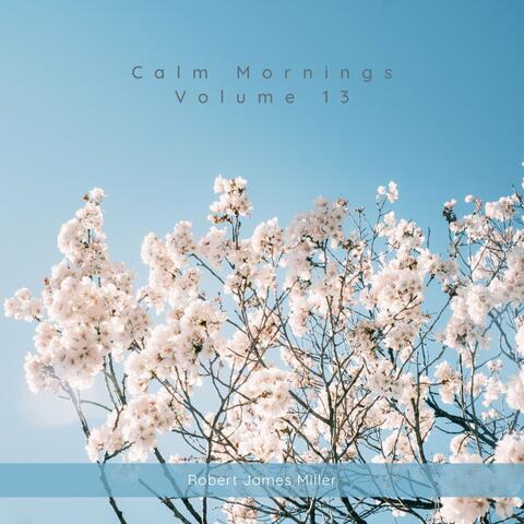 Calm Mornings Volume 13