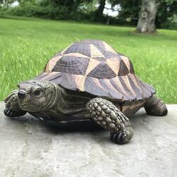 Slow It Down, Rob...