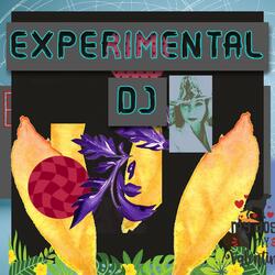 Experimental Dj