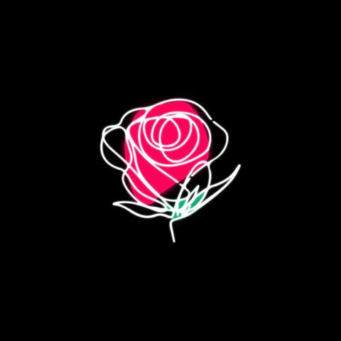 Rosa de Sangre