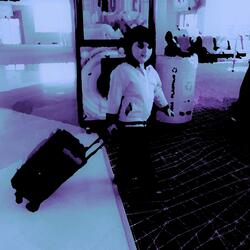 Pico do Perdido - O Epílogo