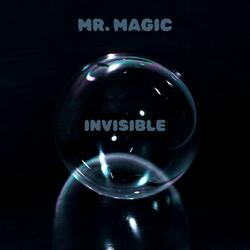 Invisable