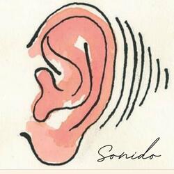 Sonido