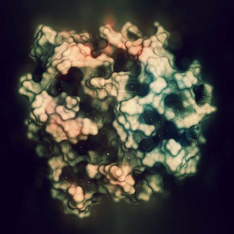 Derived