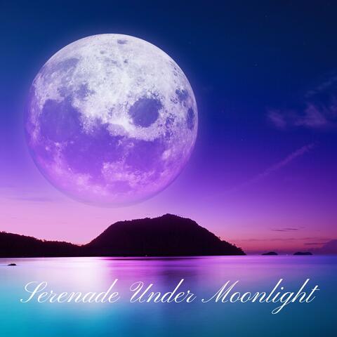 Serenade Under Moonlight