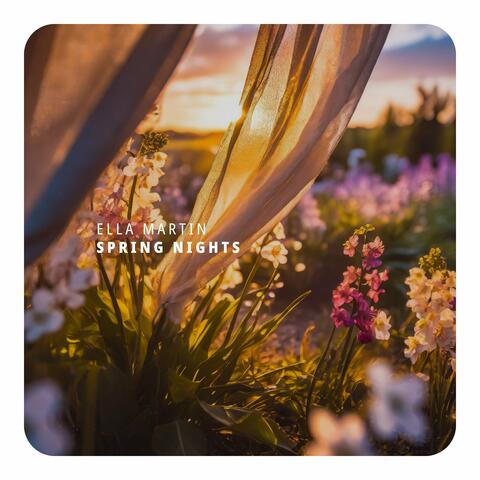 Spring Nights