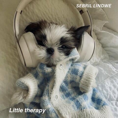 Little Therapy