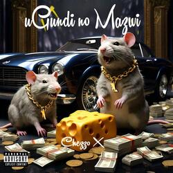 Ugundi No Mazwi