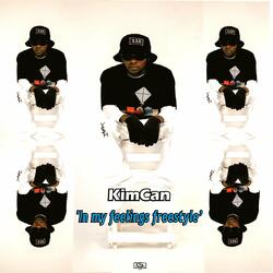 In My Feelings Freestyle