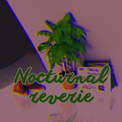 Nocturnal Reverie