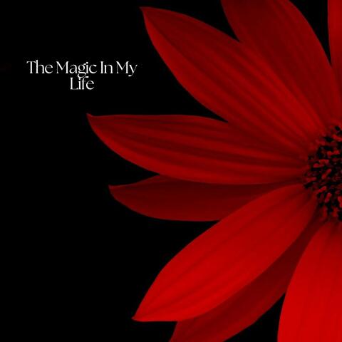 The Magic In My Life