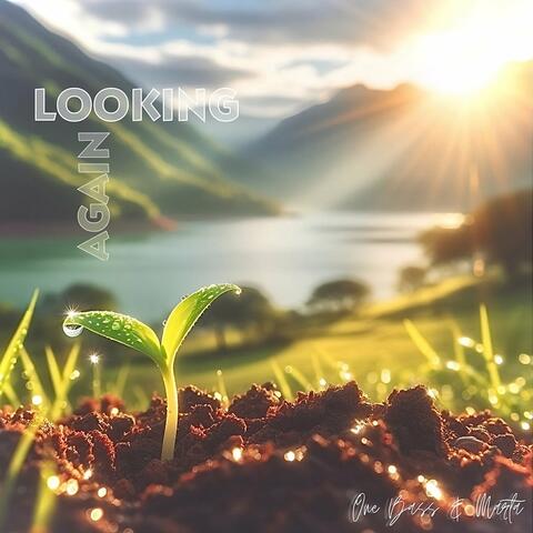 Looking Again