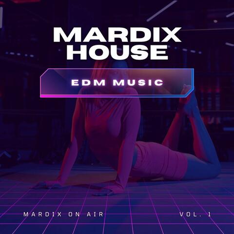 Edm Music Vol 1