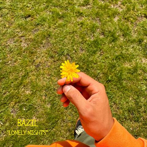 Lonely Night's
