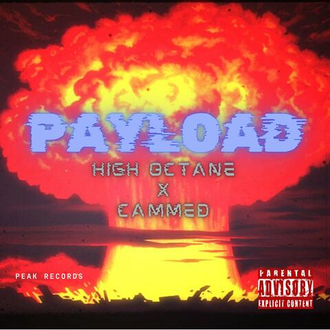 Payload