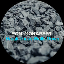 Break These Walls Down