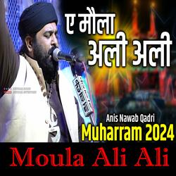 E Moula Ali Ali || Anis Nawab Qadri || Muharram 2024