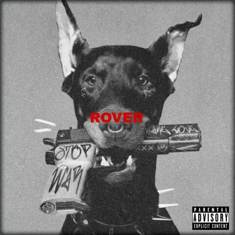 Rover