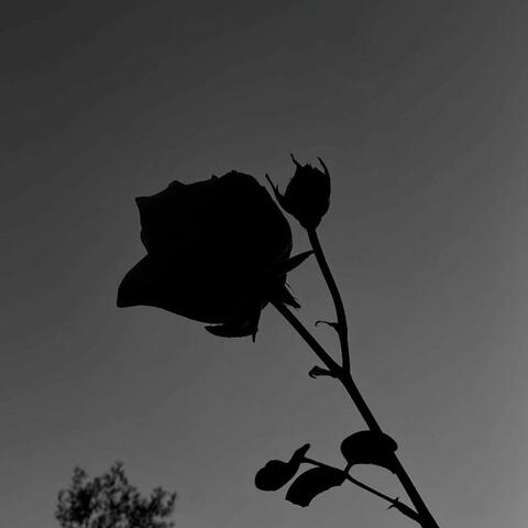 Verso l'Orizzonte (Remix)