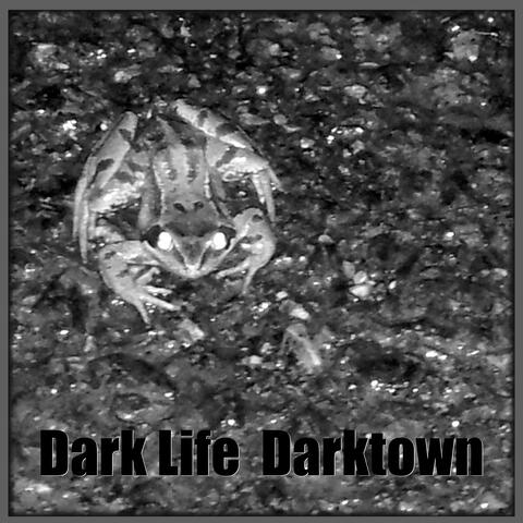 Dark Life Darktown (Live)