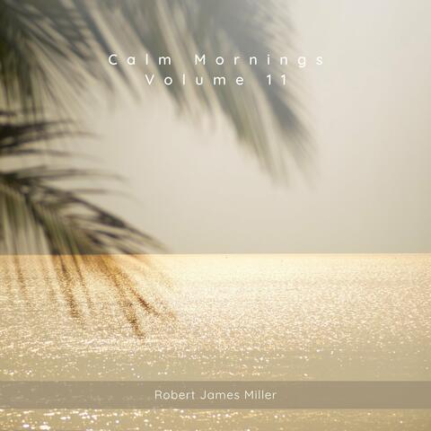 Calm Mornings Volume 11
