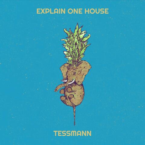 Explain One House