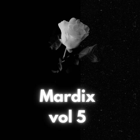 Vol 5 Edm (Remixes)