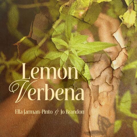 Lemon Verbena