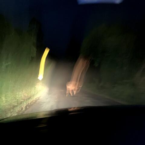Abducted ! ! ! !