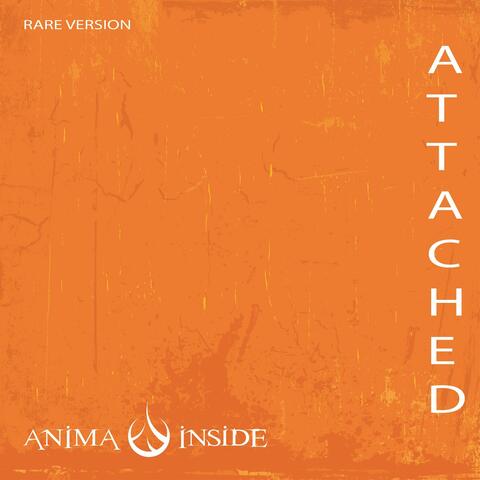 Attached 2018
