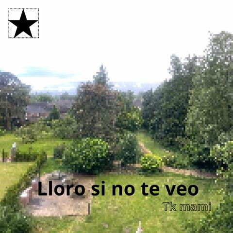 Lloro Si No Te Veo