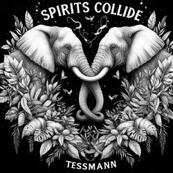 Spirits Collide