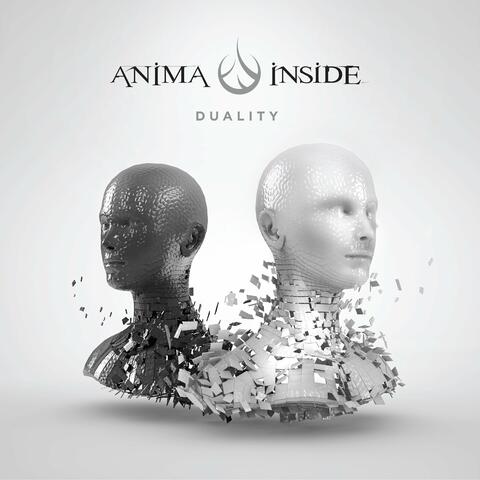 Duality