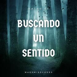 Buscando un Sentido