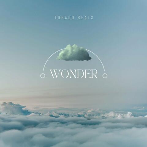Wonder