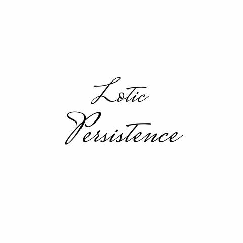 Persistence