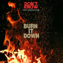 Burn It Down