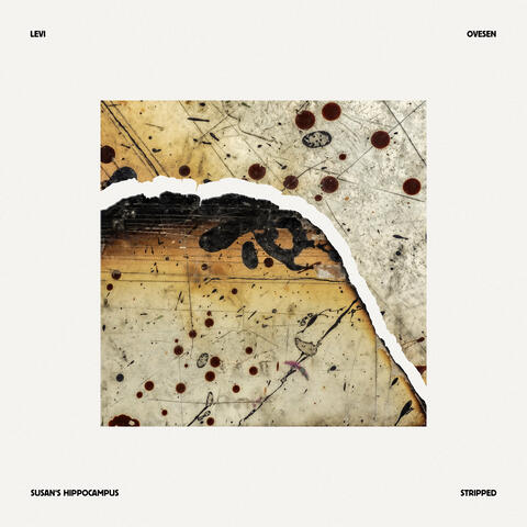 Susan's Hippocampus (Stripped)